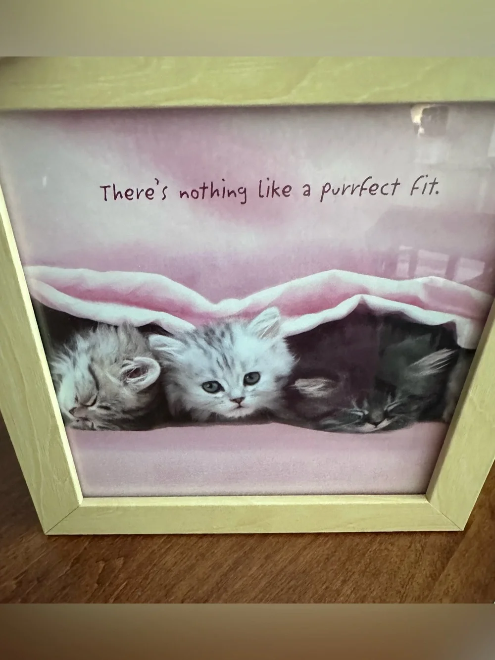 Portal Set of 3 Framed Kitten Prints Cozy Places Friendship Purrfect Fit